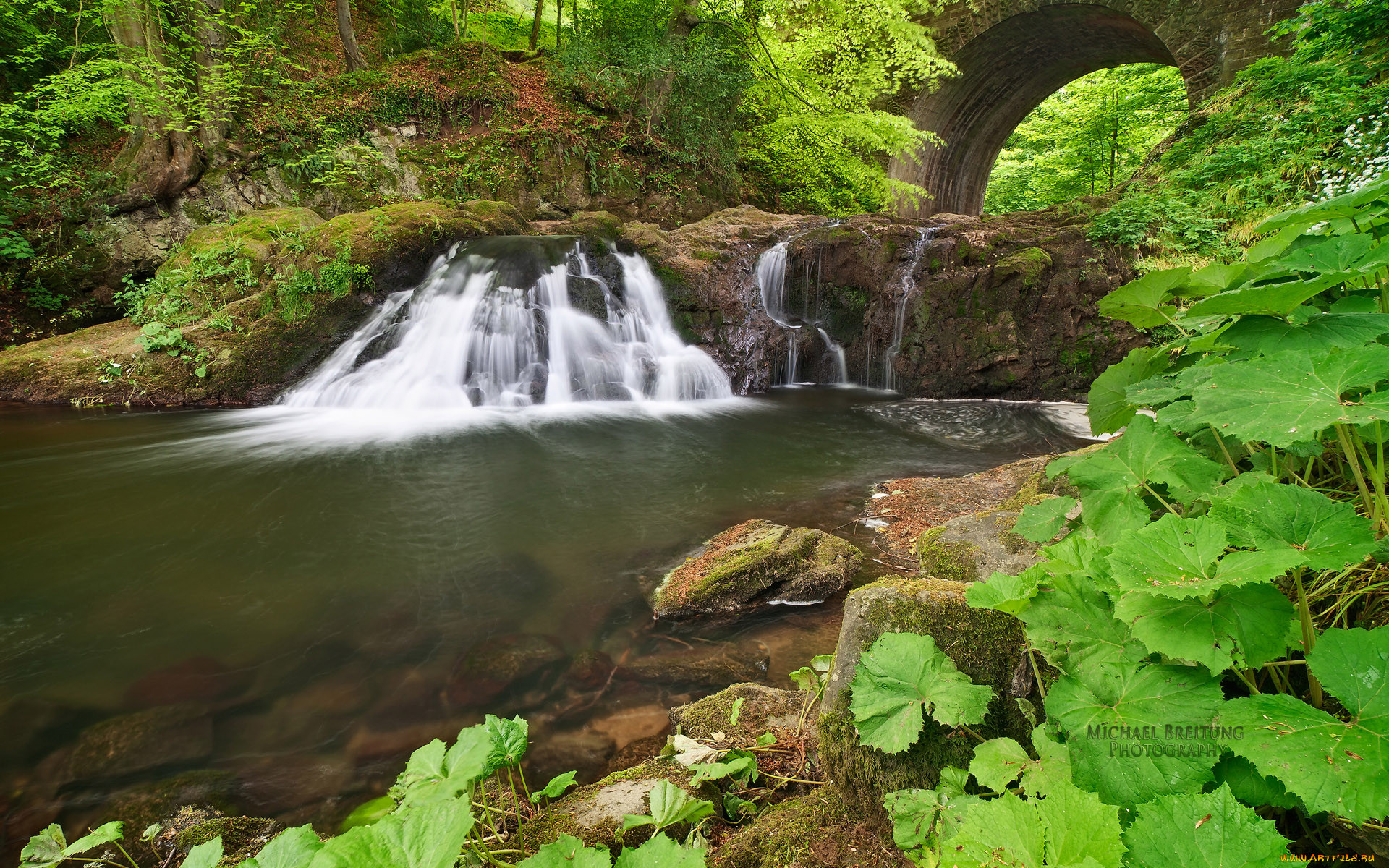 Cascad. Водопад каменный мост. Шотландия природа водопады. Водопад с цветами.
